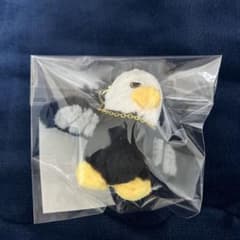 m10284129855_1.jpg?1761563456