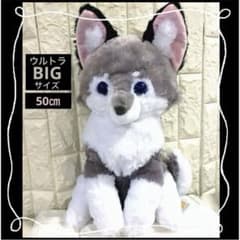 アマテラスのオオカミ／ ホロウ ☆ウルトラBIGサイズ☆ - メルカリ