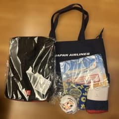 JAL 初日の出フライト 2026 記念品セット - メルカリ
