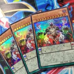 遊戯王 耀聖の波詩ディーナ シークレット エルフェンノーツ BPRO