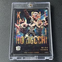 RIZIN ライコレ 堀口恭司 カード① - メルカリ