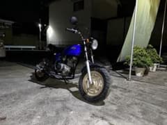 カール様専用 エイプ用ミニトリック管 - メルカリ