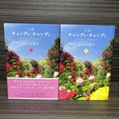 小説キャンディ・キャンディFINALSTORY上下巻セット - メルカリ