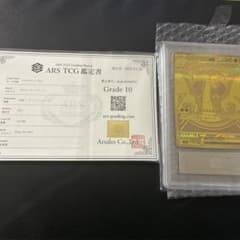 ARS10】メガリザードンXex MUR インフェルノX 鑑定書付き - メルカリ