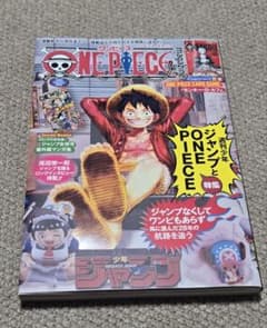 ワンピース マガジン 20号 ルフィ プロモ付 - メルカリ