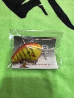 WILD BISON MR - メルカリ