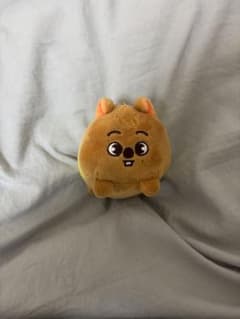 Straykids SKZOO HAN QUOKKA ハン ぬいぐるみ チャーム - メルカリ