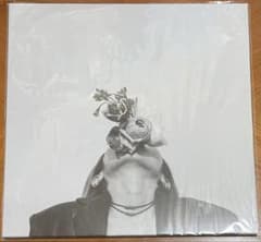 Arche - sublimated LP - メルカリ