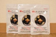 ビタブリッドジャパン ターミナリアファースト 120粒 3袋 3袋 - メルカリ