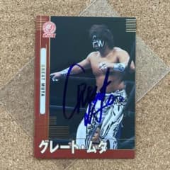 m72952950353_1.jpg?1693693801