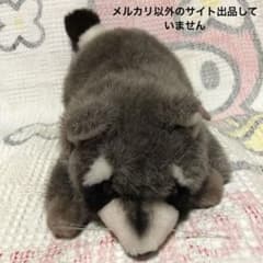 昭和レトロ オリエンタルトーイ アライグマ 寝そべりポーズ ぬいぐるみ