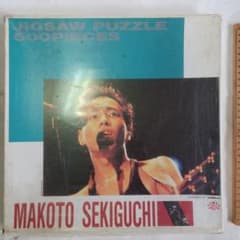 関口誠人さんのジグソーパズル500ピース