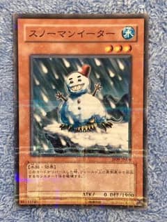 m81350199162_1.jpg?1733201722