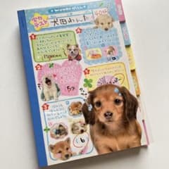 平成レトロ メモ帳 実写犬 わんこ 犬 インデックスメモ アニマル