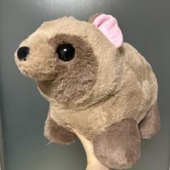 最終値下げ たぬきのぽんぽん BIGぬいぐるみ タヌキ 狸 - メルカリ