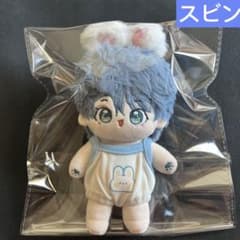 TXT スビン 15センチ ぬいぐるみ 15cm 新品 ドール マスター - メルカリ