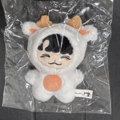 SEVENTEEN ジョシュア ぬいぐるみ 10cm セブチ マスター - メルカリ