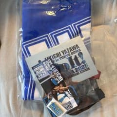 矢沢永吉 2025 東京ドーム PSS席 非売品 限定グッズ タオルその他