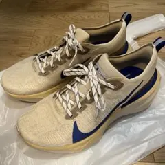 2026年最新】インヴィンシブルラン3の人気アイテム - メルカリ