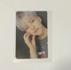 2026年最新】舞い落ちる花びら ホシ cの人気アイテム - メルカリ