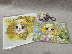 2026年最新】キャンディ・キャンディ いがらしゆみこの人気アイテム