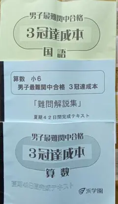 2026年最新】浜学園 三冠達成の人気アイテム - メルカリ