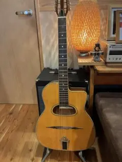 2026年最新】wood land ギターの人気アイテム - メルカリ