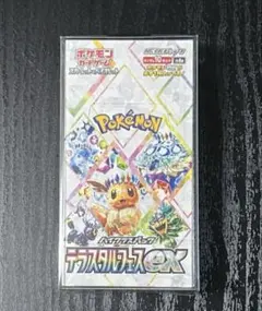 2026年最新】テラスタルフェスex BOXの人気アイテム - メルカリ