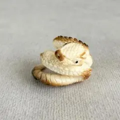 2026年最新】セイウチ牙の人気アイテム - メルカリ