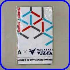 2026年最新】群馬クレインサンダーズ タオルの人気アイテム - メルカリ