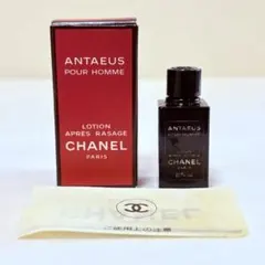 2026年最新】アンテウスの人気アイテム - メルカリ