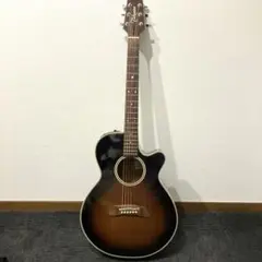 2026年最新】takamine pt-108の人気アイテム - メルカリ