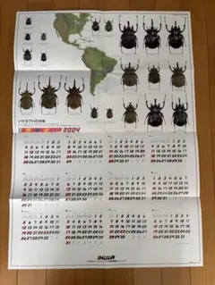 2026年最新】ビークワの人気アイテム - メルカリ