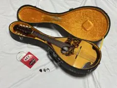 2026年最新】石川マンドリンの人気アイテム - メルカリ