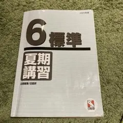 2026年最新】日能研 6年 夏期講習の人気アイテム - メルカリ