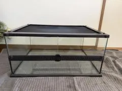 2026年最新】レインフォレストタンクの人気アイテム - メルカリ