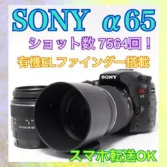 2026年最新】sony α65の人気アイテム - メルカリ