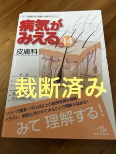 病気がみえる vol.14 - メルカリ