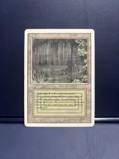 2026年最新】mtg bayouの人気アイテム - メルカリ