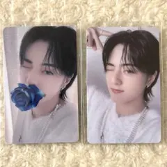 2026年最新】ナイトガーデン ラキドロの人気アイテム - メルカリ