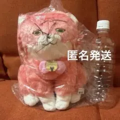 2026年最新】TVアニメ「美男高校地球防衛部ハイカラ！」 Mぬいぐるみ