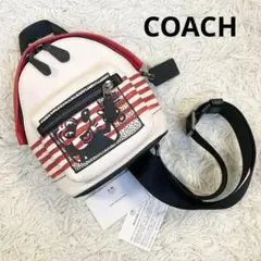 2026年最新】coach ミッキー キースヘリングの人気アイテム - メルカリ