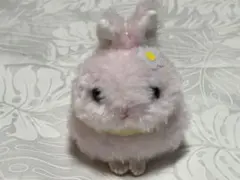 2026年最新】うさだまぬいマスコットの人気アイテム - メルカリ