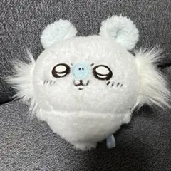 2026年最新】ほわほわぬいぐるみ モモンガの人気アイテム - メルカリ