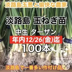 2026年最新】淡路島玉ねぎ苗の人気アイテム - メルカリ