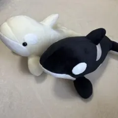 2026年最新】名古屋港水族館 シャチくじの人気アイテム - メルカリ