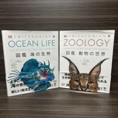 OCEAN LIFE 図鑑 海の生物 - メルカリ
