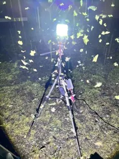 2026年最新】HIDライトトラップの人気アイテム - メルカリ