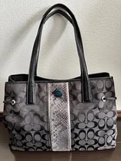 2026年最新】コーチ パイソンの人気アイテム - メルカリ