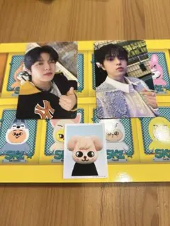 2026年最新】Stray kids ペンミ スンミンの人気アイテム - メルカリ